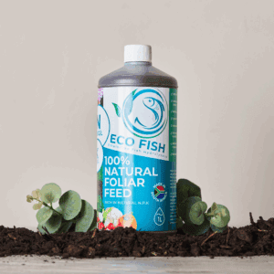 Eco Fish 1L