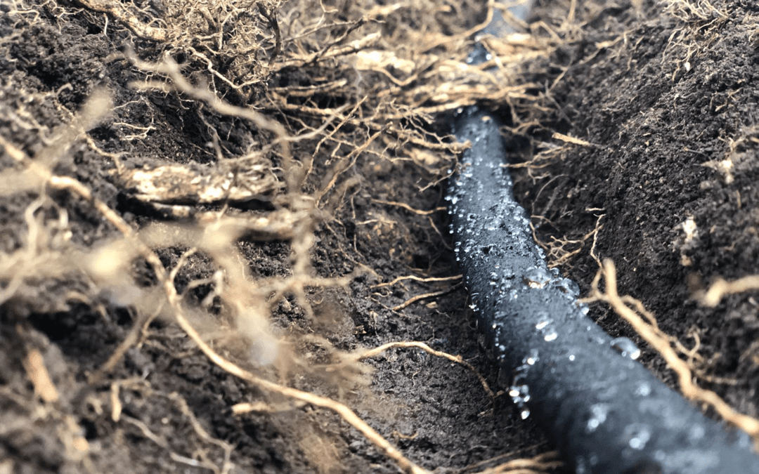 Subsurface irrigation system in the ground