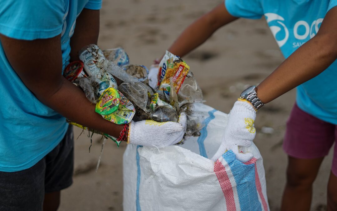 two people collecting trash on the beach for recycling