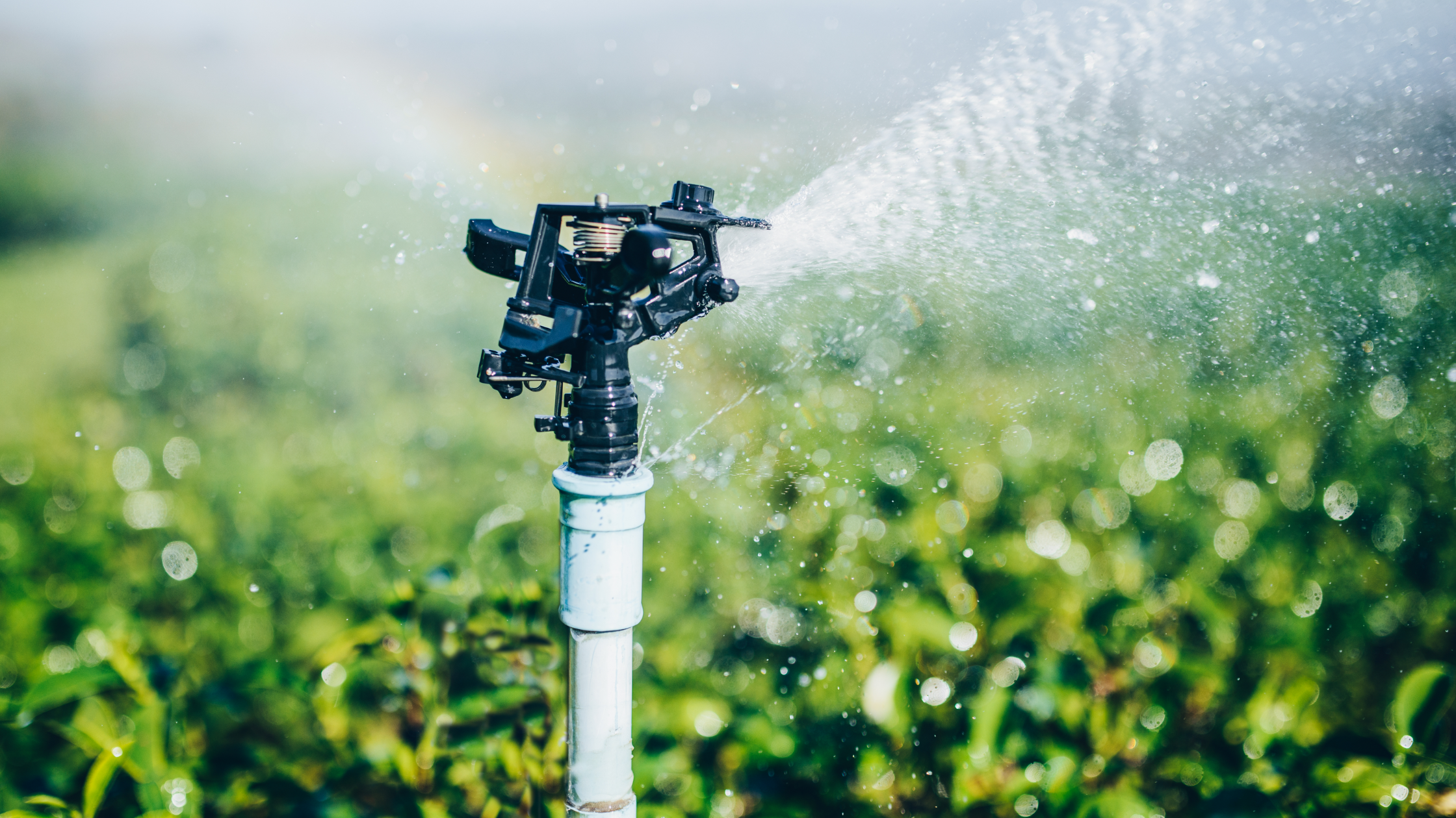 Featured Image: 10 Benefits of Irrigation Image of sprinkler watering crops