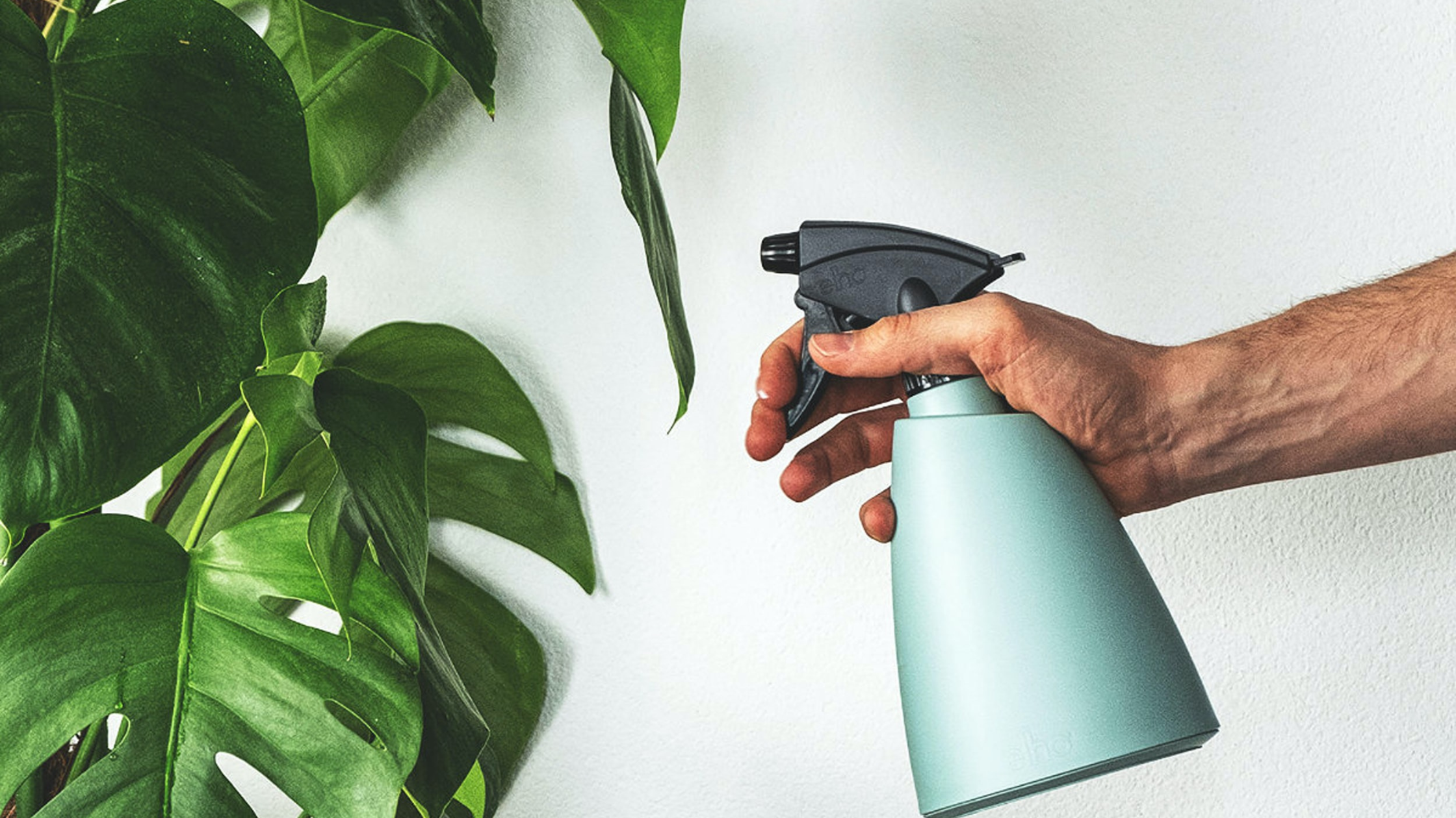 Featured Image: A Care Guide for Healthy Houseplants Woman using spray bottle to water houseplants