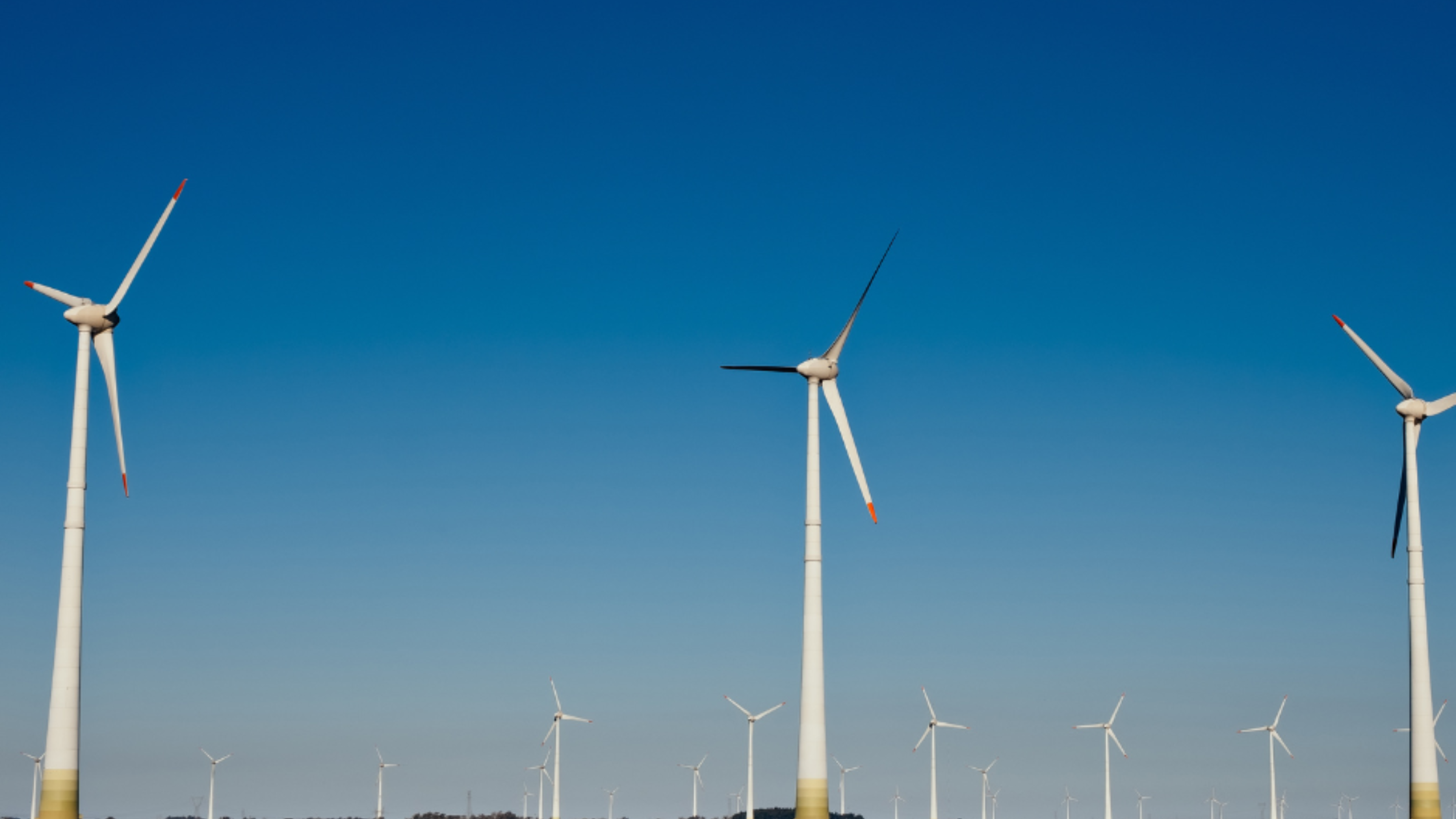 Featured Blog: A Guide to Sustainable Farming Image of farm with windmills