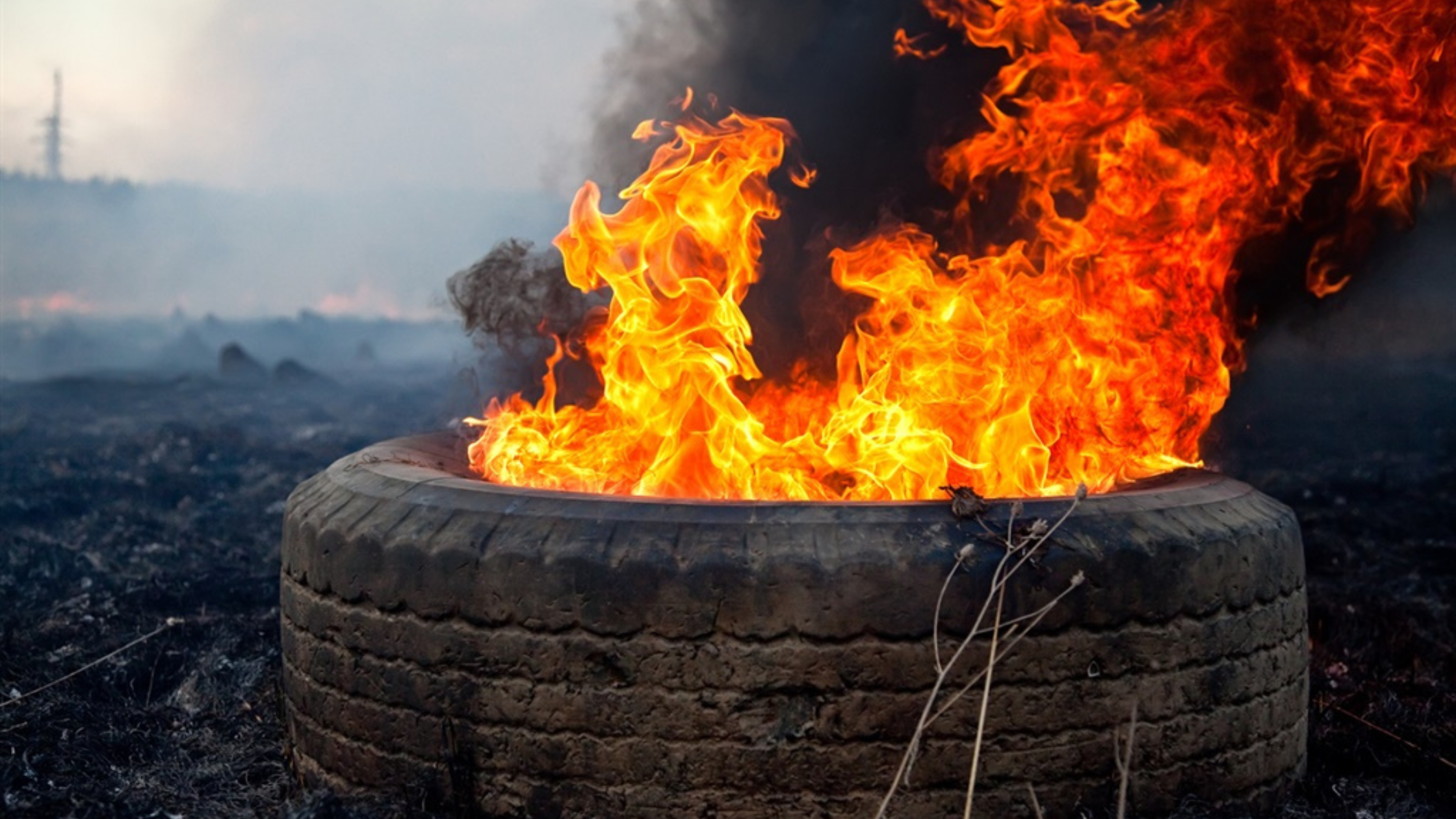 Featured Image: Burning Tyres: More Harmful Than We Know? Image of a tyre on fire