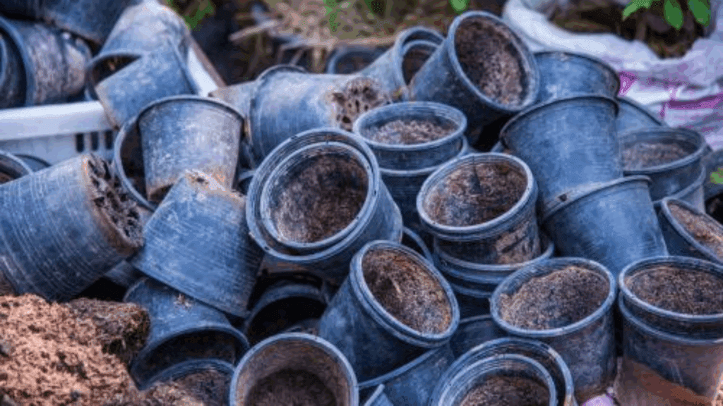 Featured Image: The Problem With Plastic Planters Image of plastic pots