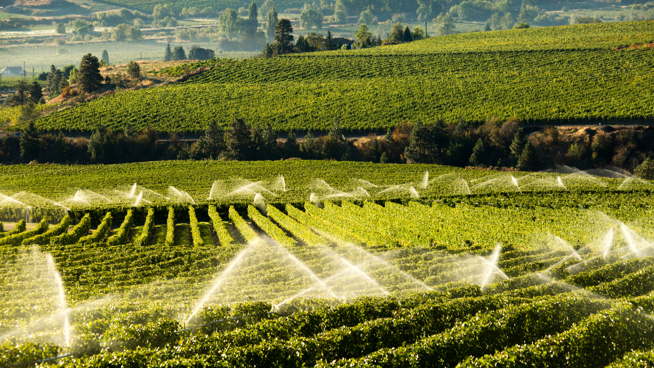 Featured Image: The Advantages Of Subsurface Irrigation Image of irrigation system on a farm land