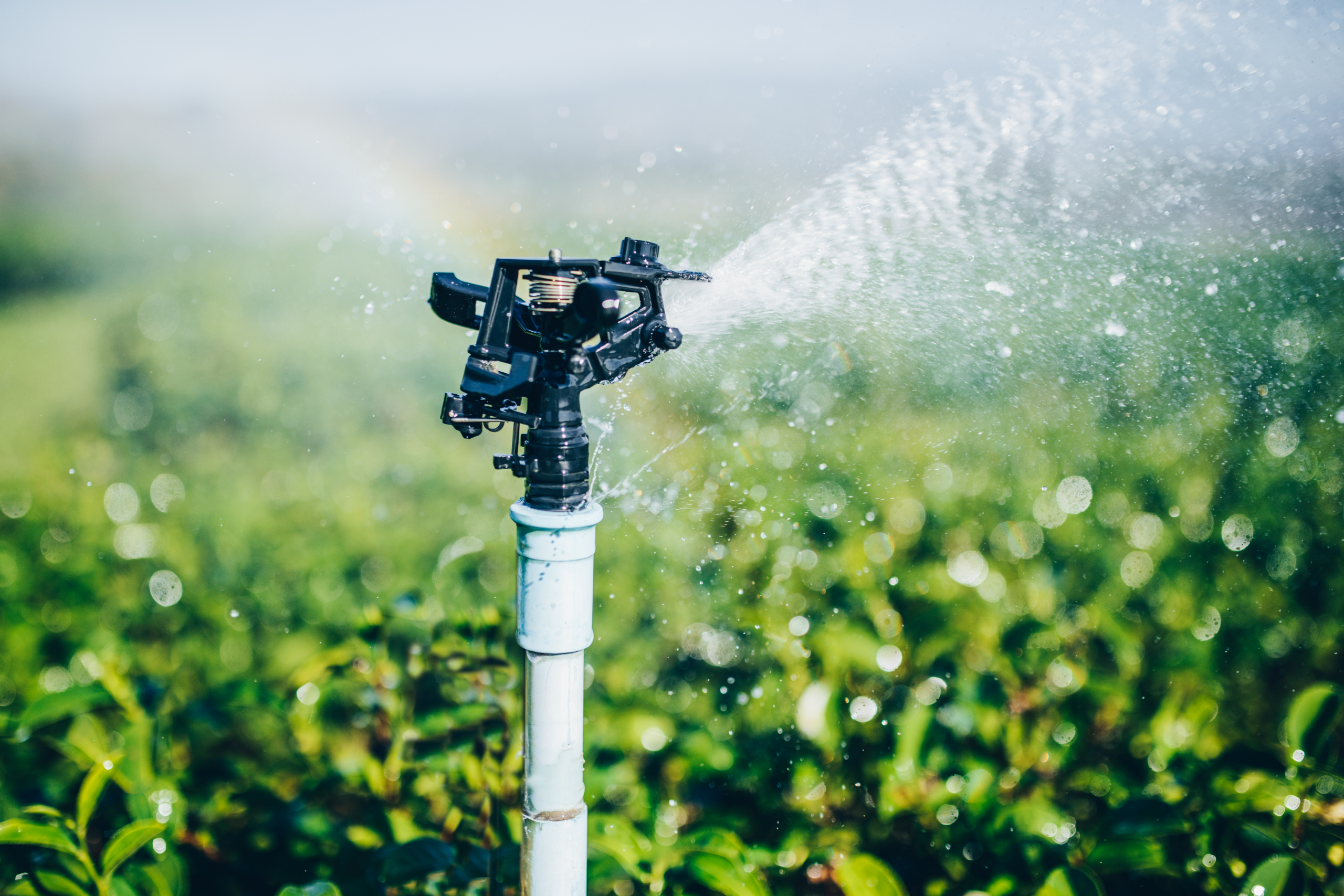 10 Benefits of Irrigation