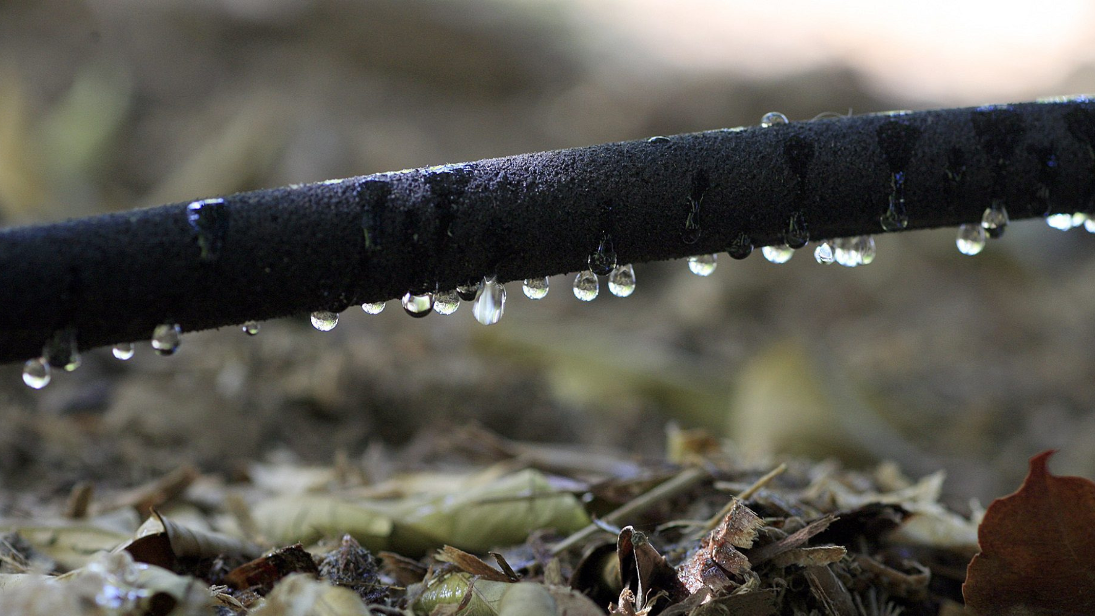 Featured Image: Why Underground Irrigation Systems are Better Than Drip Irrigation Image of an underground irrigation system
