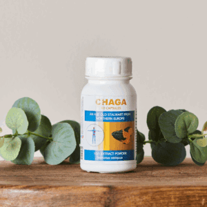 Chaga (60 Caps)