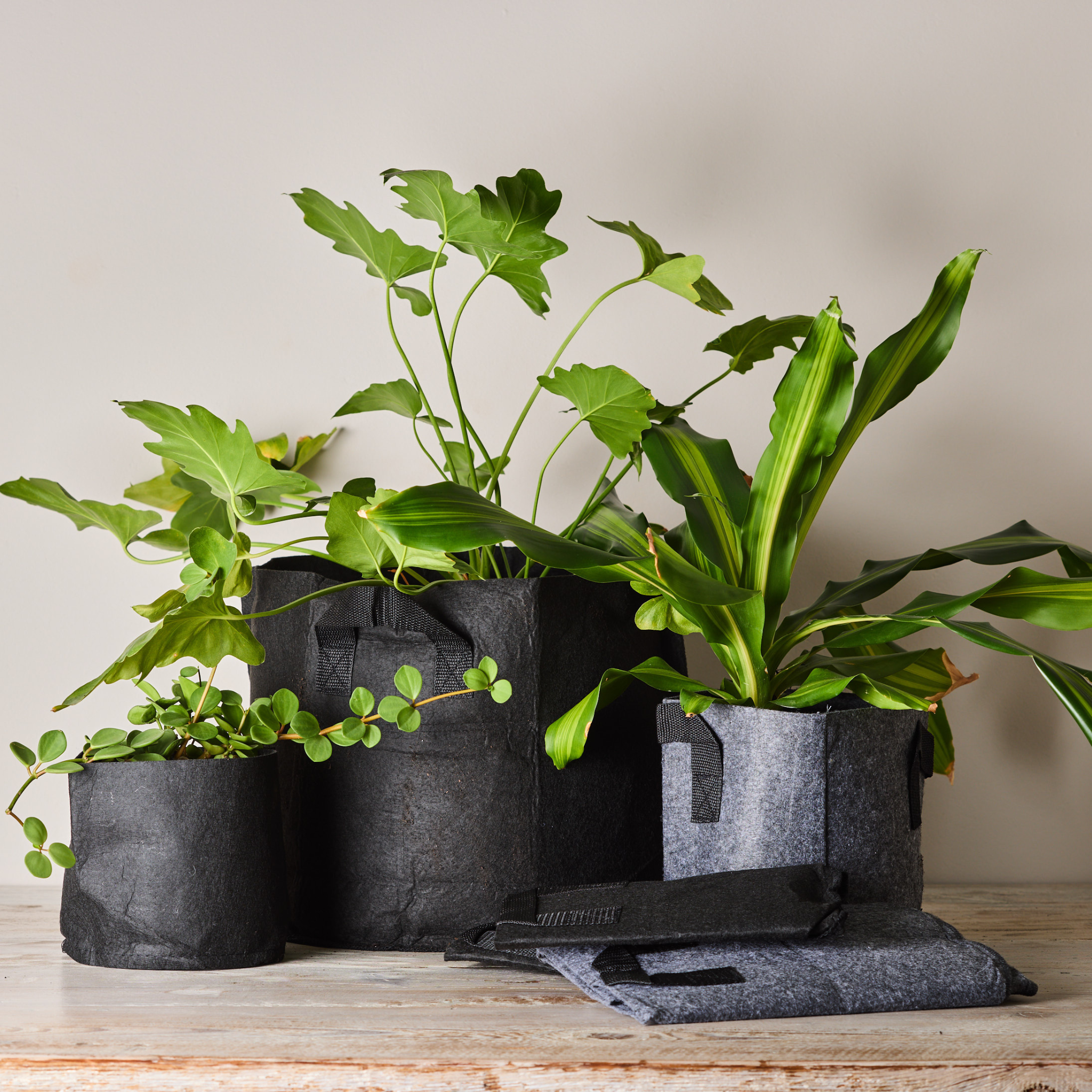WhizzPouch 3 gal | Fabric Grow Bags | EcoWhizz