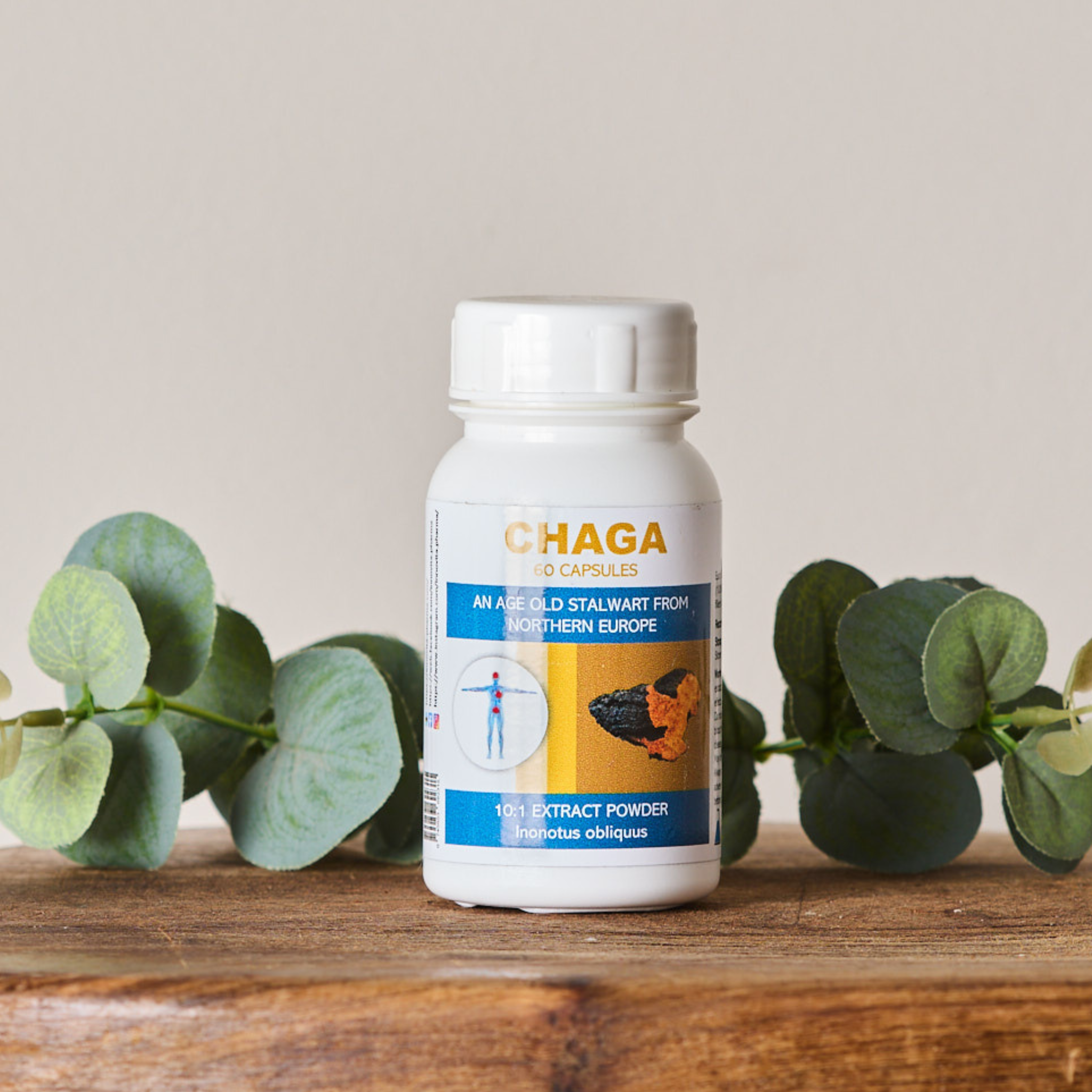 Chaga (60 Caps)